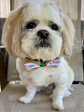 Load image into Gallery viewer, The Happy Birthday Bow-Tie
